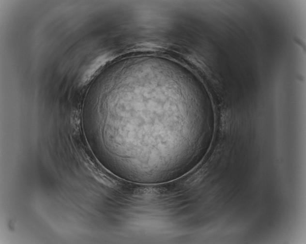 X0000101211355200807111023