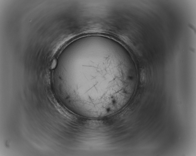 X0000101211356200807111023