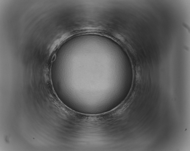 X0000101211357200807111023