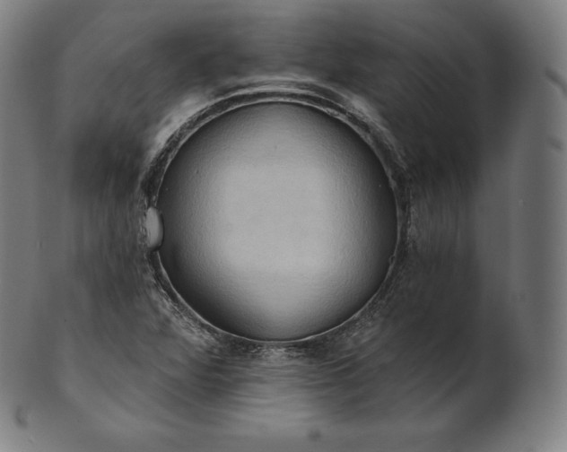 X0000101211360200807111023