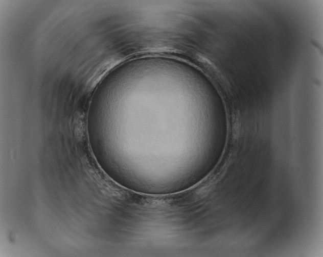 X0000101211361200807111023