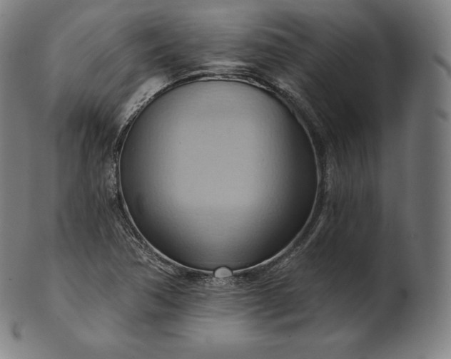 X0000101211362200807111023