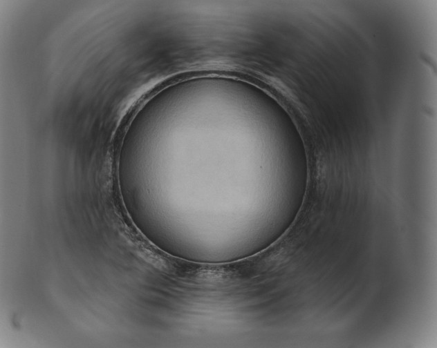 X0000101211364200807111023