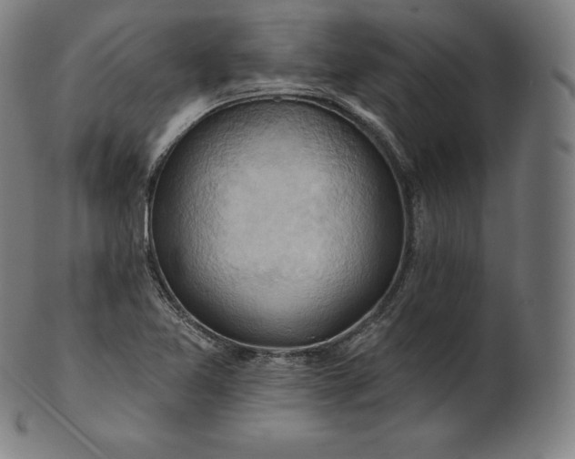 X0000101211365200807111023