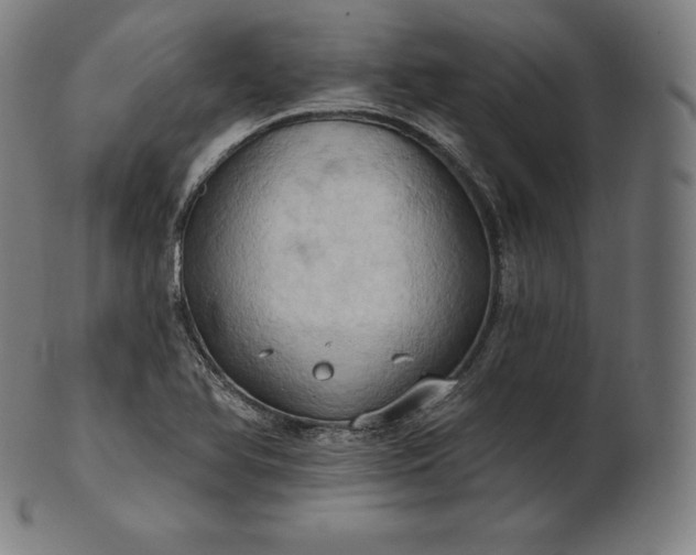 X0000101211366200807111023