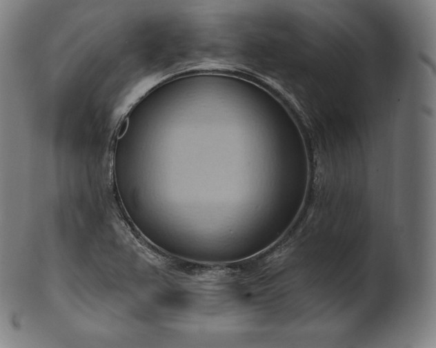 X0000101211367200807111023