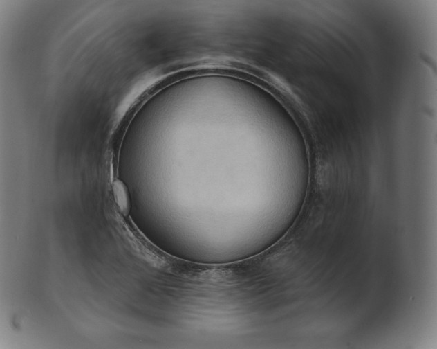 X0000101211368200807111023