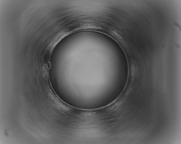 X0000101211369200807111023