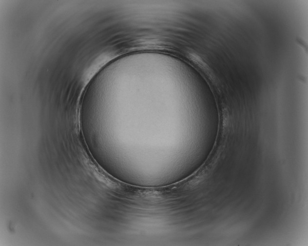 X0000101211370200807111023