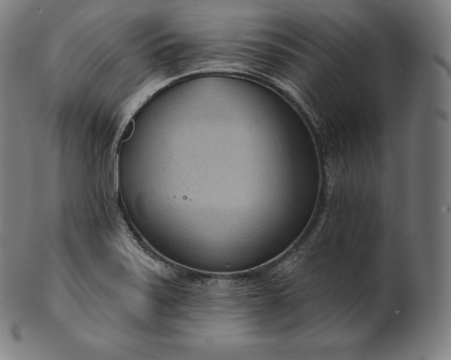 X0000101211371200807111023