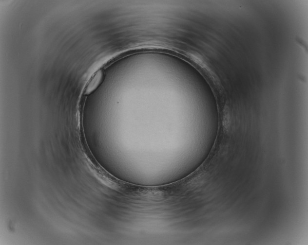 X0000101211372200807111023