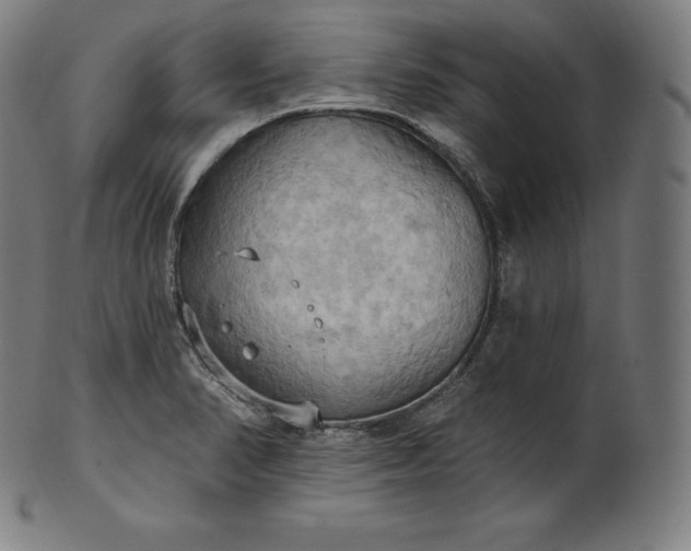 X0000101211374200807111023