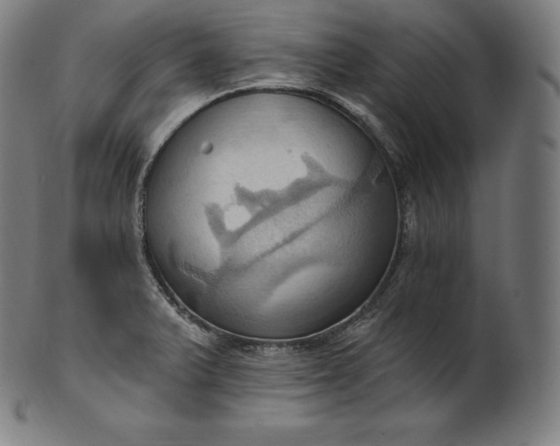 X0000101211375200807111023