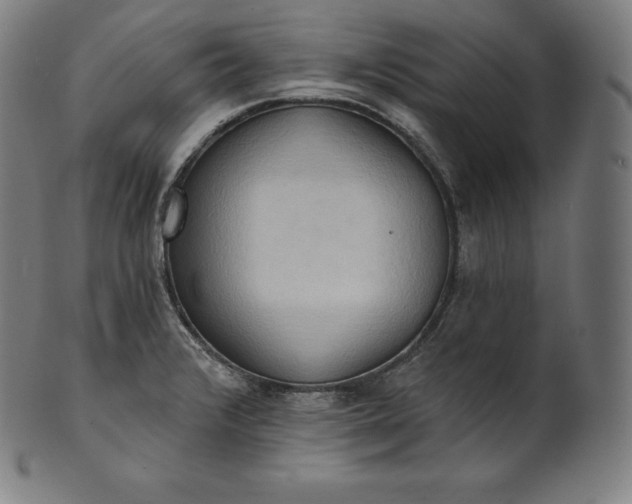 X0000101211376200807111023