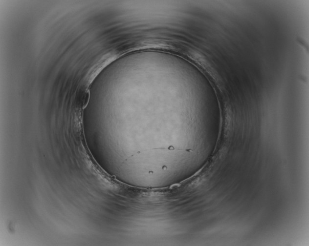 X0000101211377200807111023