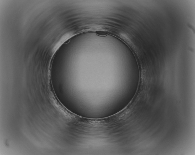 X0000101211378200807111023