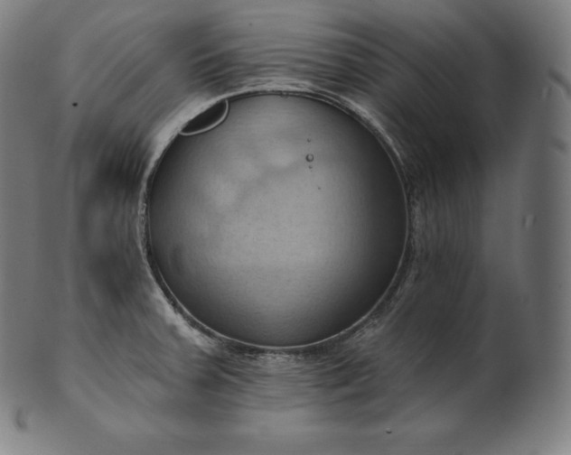 X0000101211379200807111023