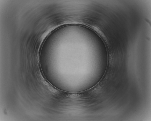 X0000101211380200807111023