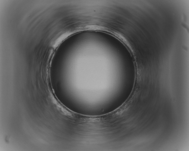 X0000101211381200807111023