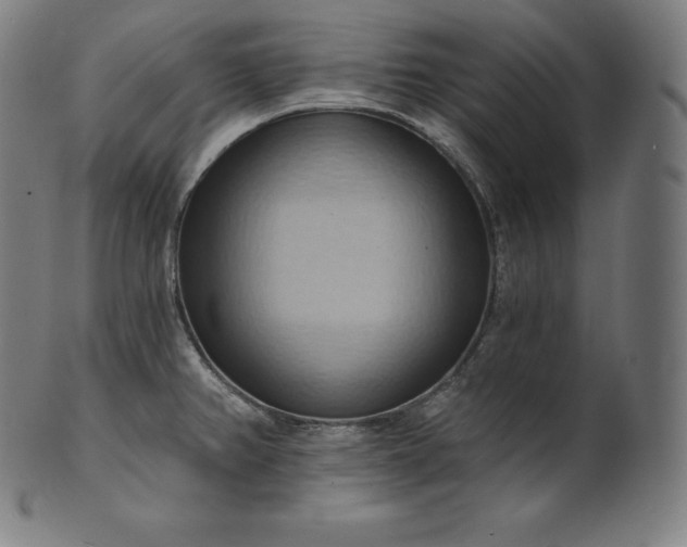 X0000101211382200807111023