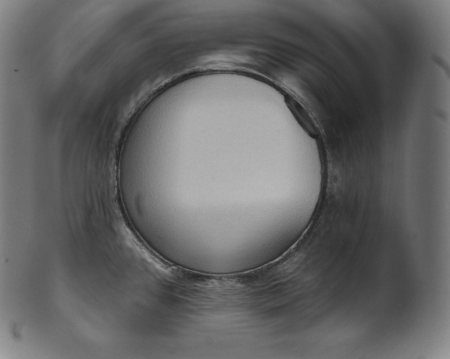 X0000101211384200807111023