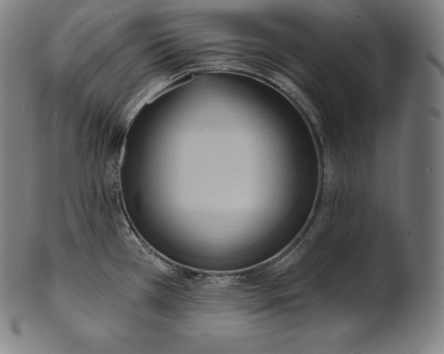 X0000101211385200807111023