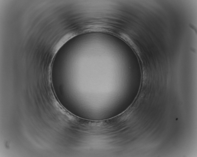 X0000101211386200807111023