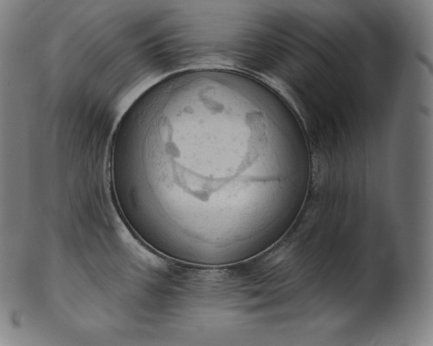 X0000101211387200807111023