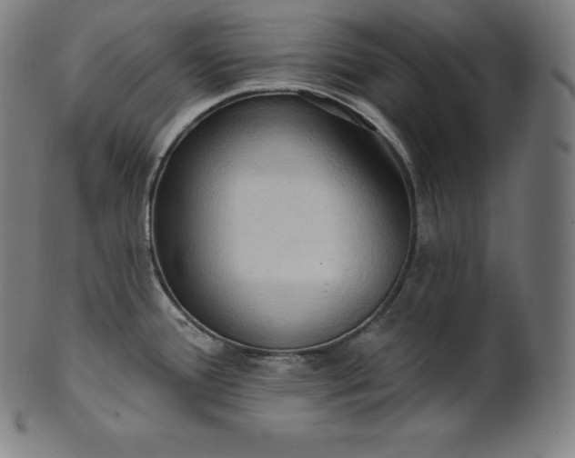 X0000101211388200807111023