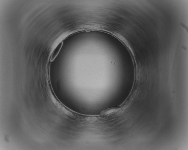 X0000101211389200807111023