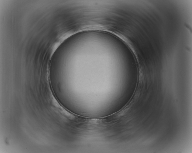 X0000101211390200807111022