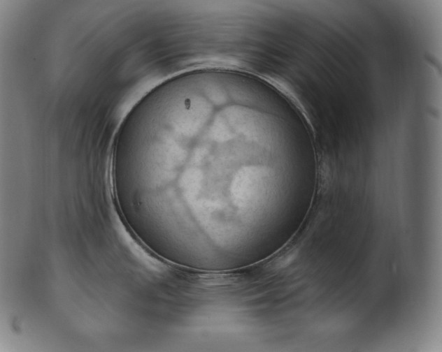 X0000101211391200807111022