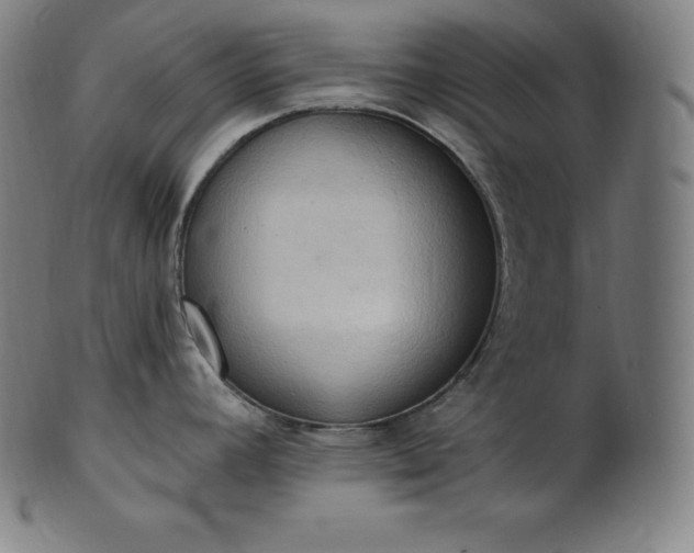 X0000101211392200807111022