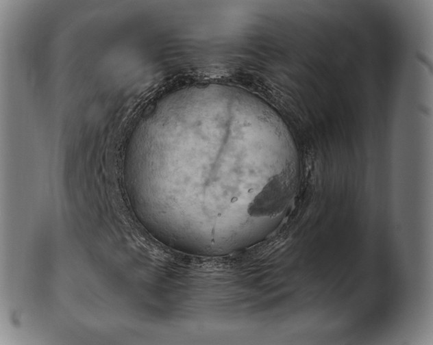 X0000101211393200807111022