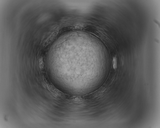 X0000101211395200807111022