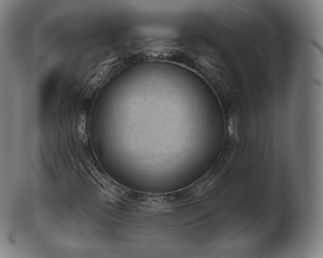 X0000101211396200807111022