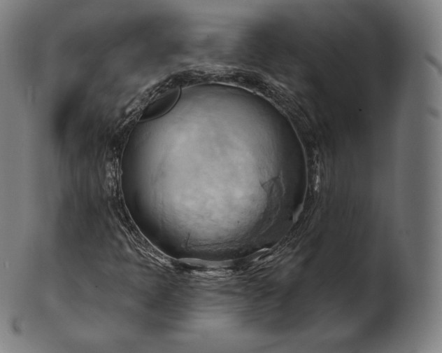 X0000101211397200807111022