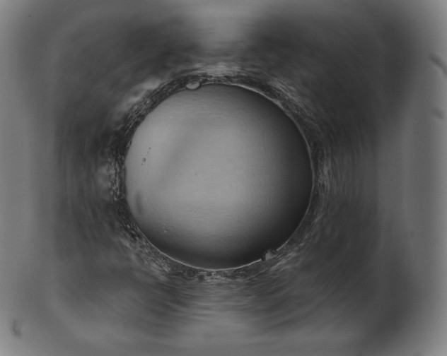 X0000101211398200807111022