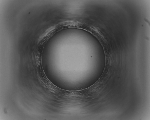 X0000101211399200807111022