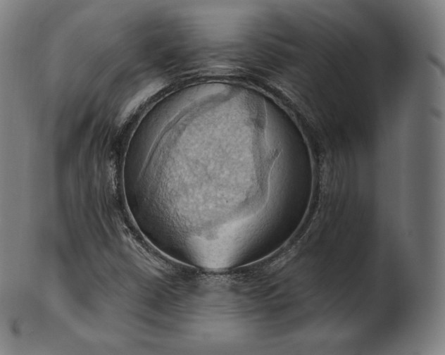 X0000101211402200807111022