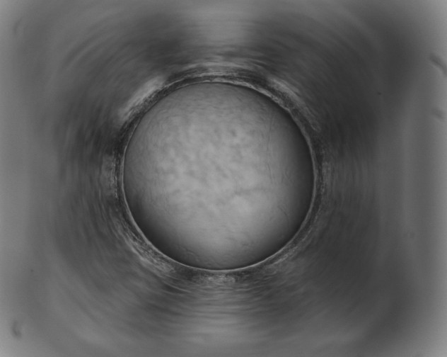 X0000101211403200807111022