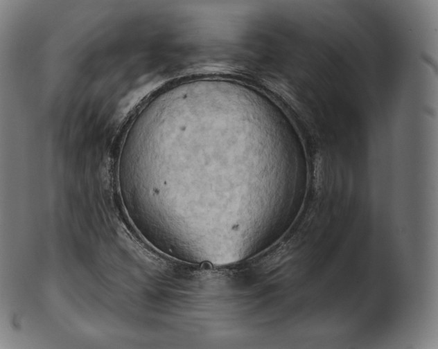 X0000101211404200807111022