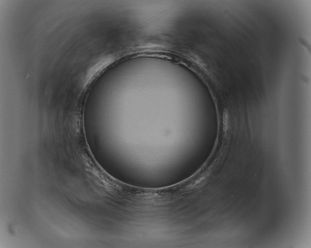 X0000101211405200807111022