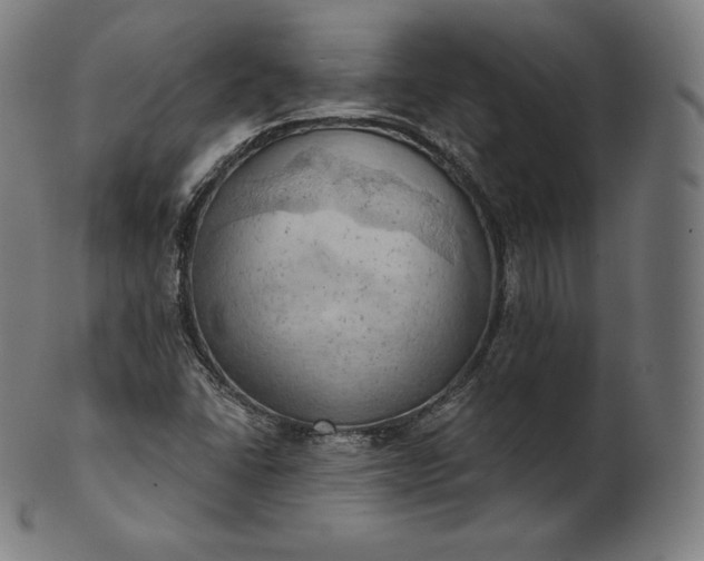 X0000101211406200807111022