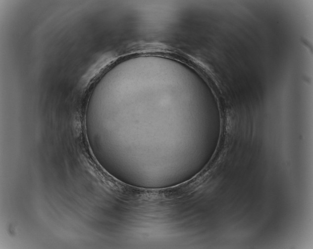 X0000101211407200807111022