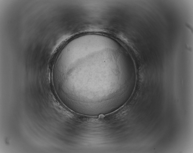 X0000101211408200807111022