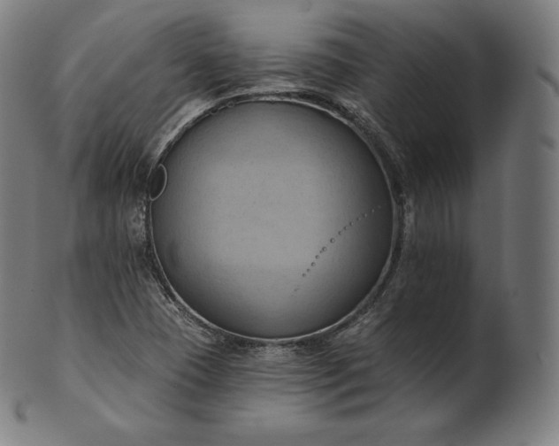 X0000101211409200807111022