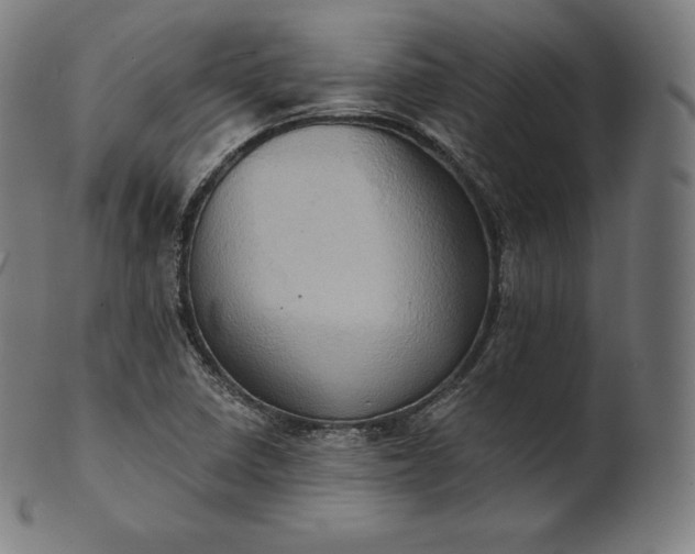 X0000101211410200807111022