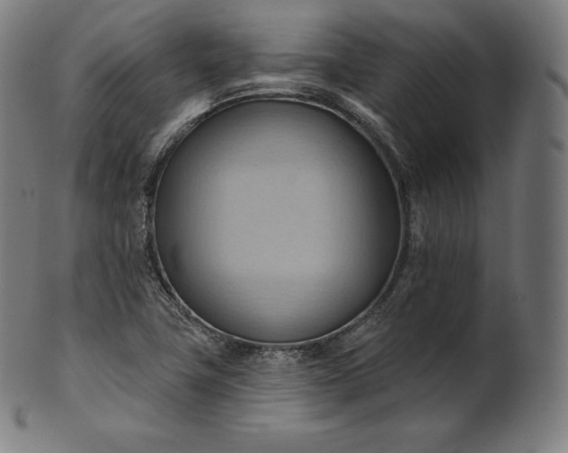 X0000101211411200807111022