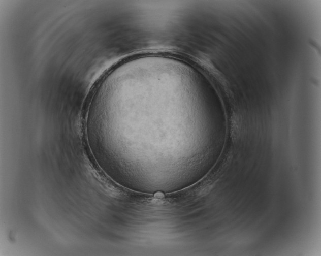 X0000101211412200807111022